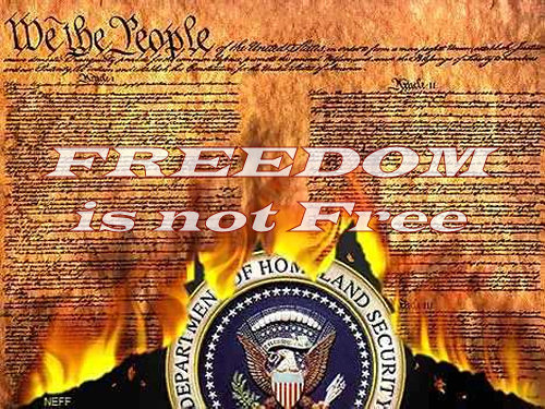 Freedom Is Not Free